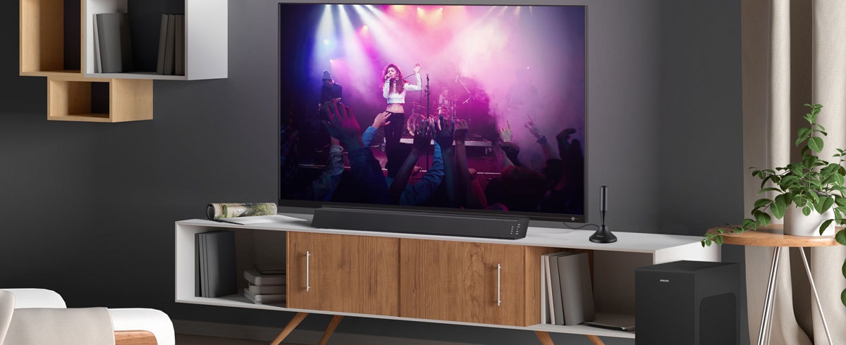 Un moderno salón con un televisor complementado con accesorios a juego y muebles elegantes